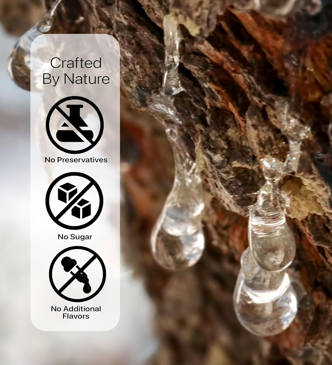 Cerez Pazari Natural Mastic Gum - Greek Mastic Resin, Sugar-Free &  0.88 oz