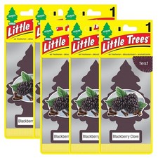 Little Trees Hanging Car and Home Air Freshener, Blackberry Clove, 6 Pack