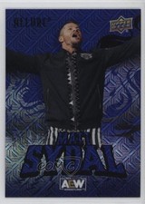 2024 Upper Deck Allure AEW Black & Blue 9/35 Matt Sydal #55 uf7