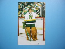 1982/83 NHL HOCKEY POSTCARD PHOTO DON BEAUPRE AUTOGRAPH AUTO NORTH STARS SHARP!!
