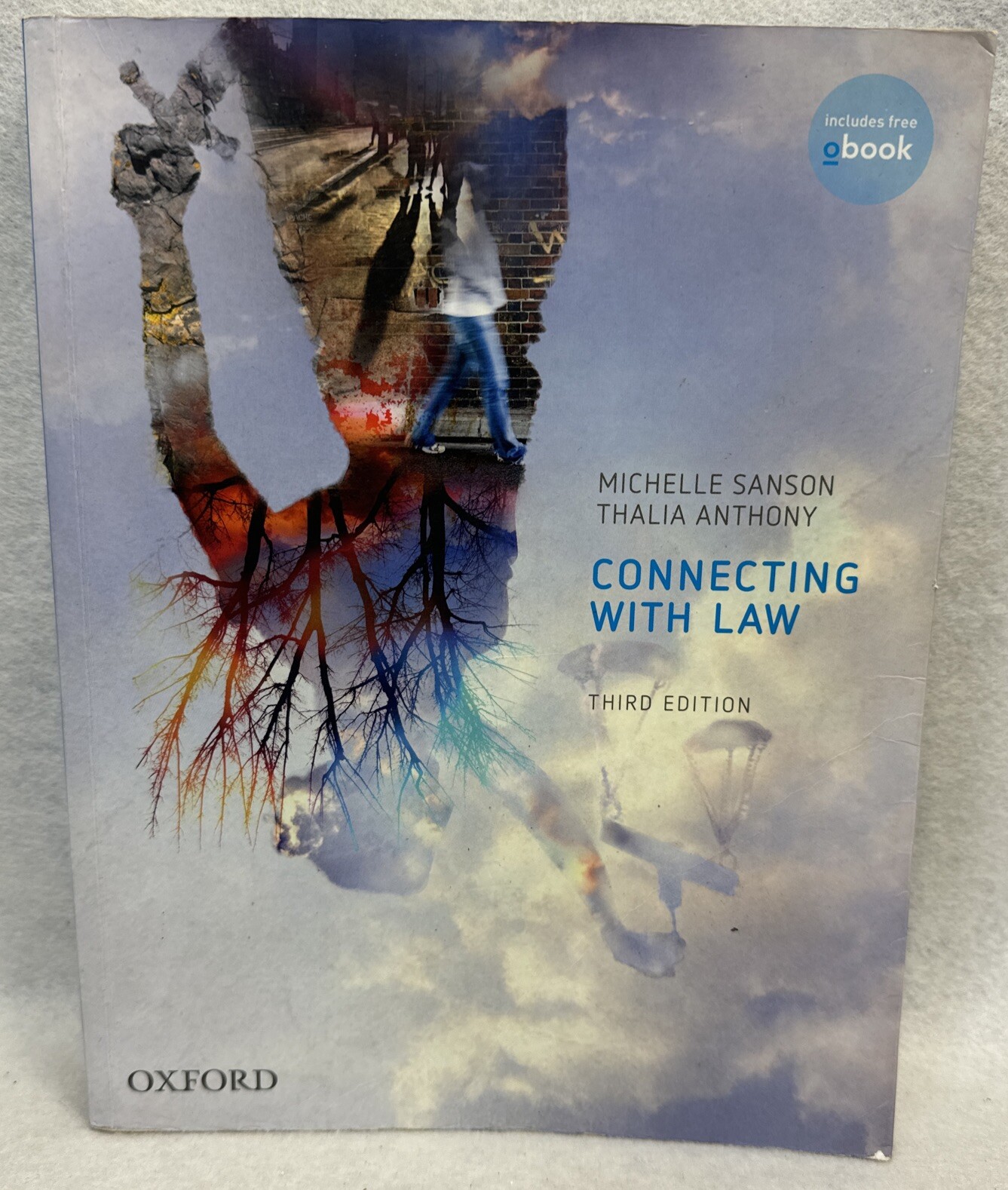 Connecting With Law Book Third Edition Michelle Sanson Thalia Anthony