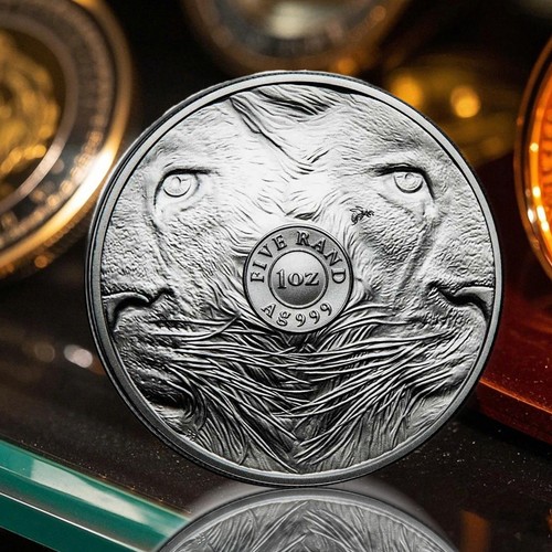 2025 South Africa Big Five (5) Lion 1 oz Silver Coin - Picture 6 of 11