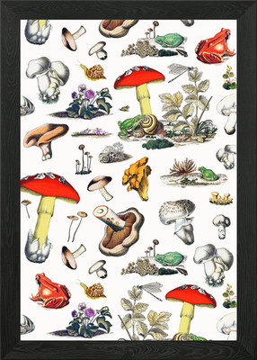 Mushroom Woodland Wildlife Botanica Framed Wall Art Poster Canvas Print Picture