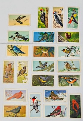 Brooke Bond Red Rose Songbirds 1966 Canadian/American Lot of 29 Mixed Cards