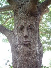 --SHIP INCLUDED--TWO(2)TREE PEEPLE CONCRETE FOREST FACES PEOPLE GARDEN ART