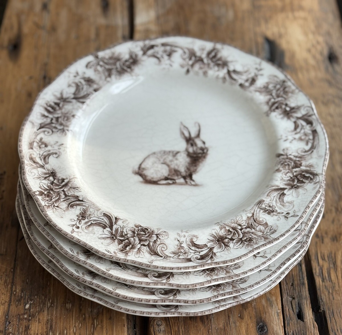 Dinner Plates Rabbit Salad Plates Dinnerware Set Pottery Barn