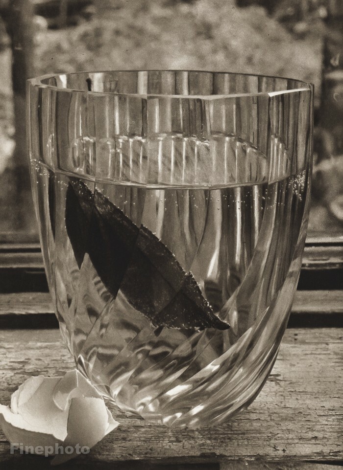 1950 Josef Sudek Still Life Glass Leaf Egg Photo Original Vintage