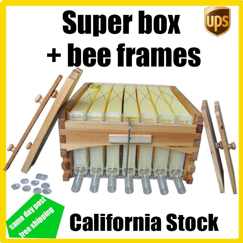 Auto Shed Bee Hives Super Box Beekeeping Hives + 7x Bee Hive Frames Bee ...
