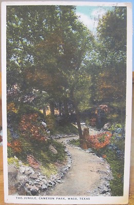 Texas Postcard CAMERON PARK The Jungle WACO TX 1918 Behrens Drug Aviation pmk