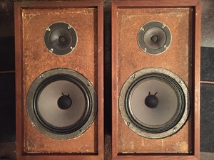 bose v201 speakers