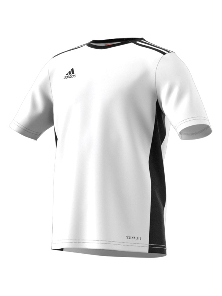 adidas entrada 18 jersey youth