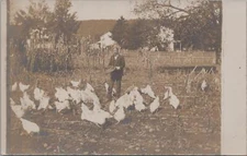 RPPC Postcard Farm Scene Man Feeding Chickens in Field 