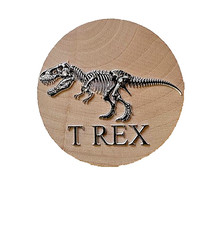 Geocaching Trackable Coin T REX Fossil