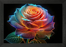 Rainbow Rose Framed Wall Art Poster Canvas Print Picture