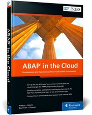 ABAP in the Cloud | ABAP in the Cloud Environ...