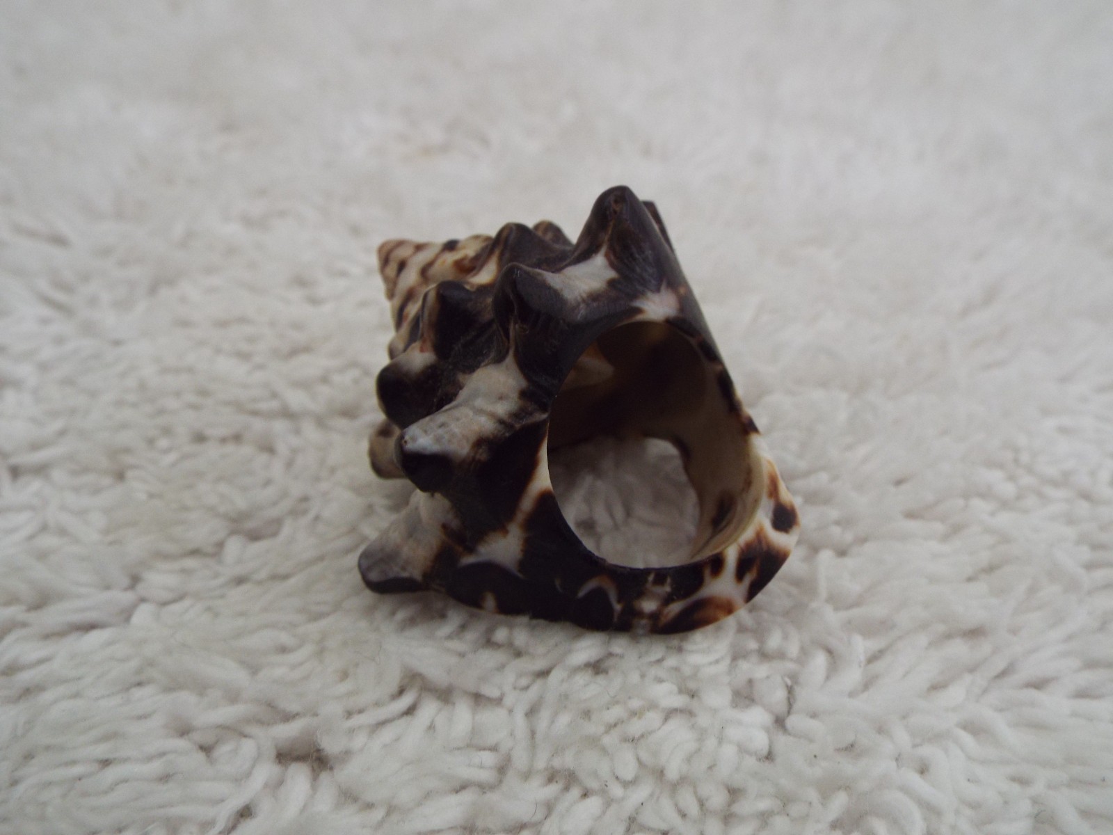 Sea Shell Size 5.5  Ring - image 2