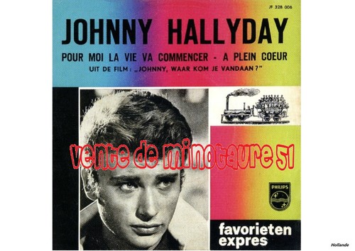 Johnny Hallyday - Adeline que je t'aime - affiche plastifiée - Foto 9 di 12