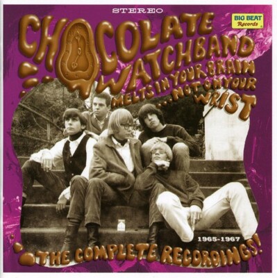Melts in Your Brain Not on Your Wrist by Chocolate Watchband (CD, 2005)