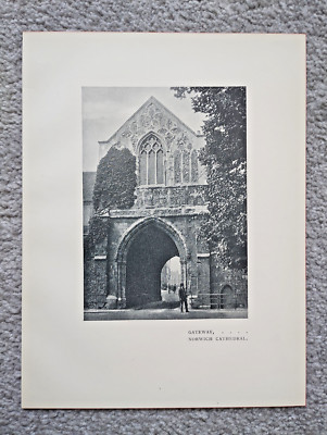 Gateway, Norwich Cathedral, East Anglia - antiker Druck - um 1900
