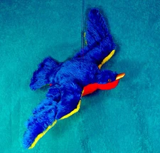 Rainbow Bird Easy PATTERN to Create a Flying Bird NEW! Fantasy Creations Design