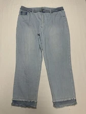 Chicos Sz 2.5 P So Slimming Painted Pinstripe Girlfriend Ankle Jeans Pants 14p