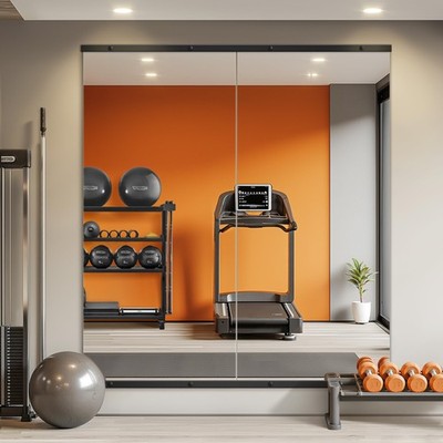 TRAHOME Home Gym Mirror for Wall 56x28x2PCS Full Length Frameless