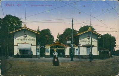 Ansichtskarte Köln Rhein Zoologischer Garten 1915 (b143)
