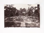 Arizona Garden Hotel Del Monte Monterey California Cactus Cacti Taber c1880s