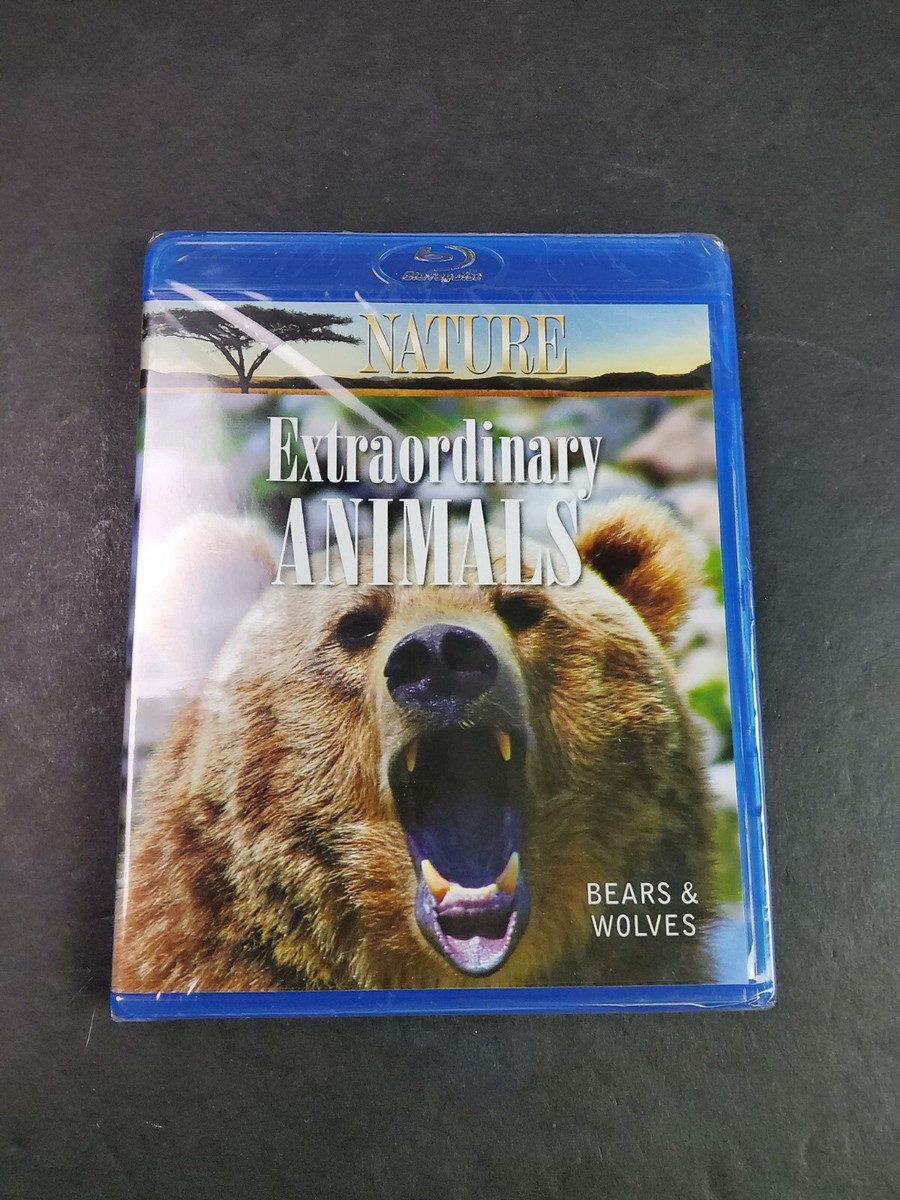 (未使用･未開封品)Nature: Extraordinary Animals: Bears &amp; Wolves [Blu-ray] Nature Extraordinary Animals Bears And Wolves Blu-ray F