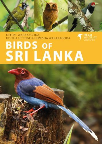 Birds of Sri Lanka (Helm Wildlife Guides): A Ph. Hettige, Warakagoda,.#+,.# - Image 6