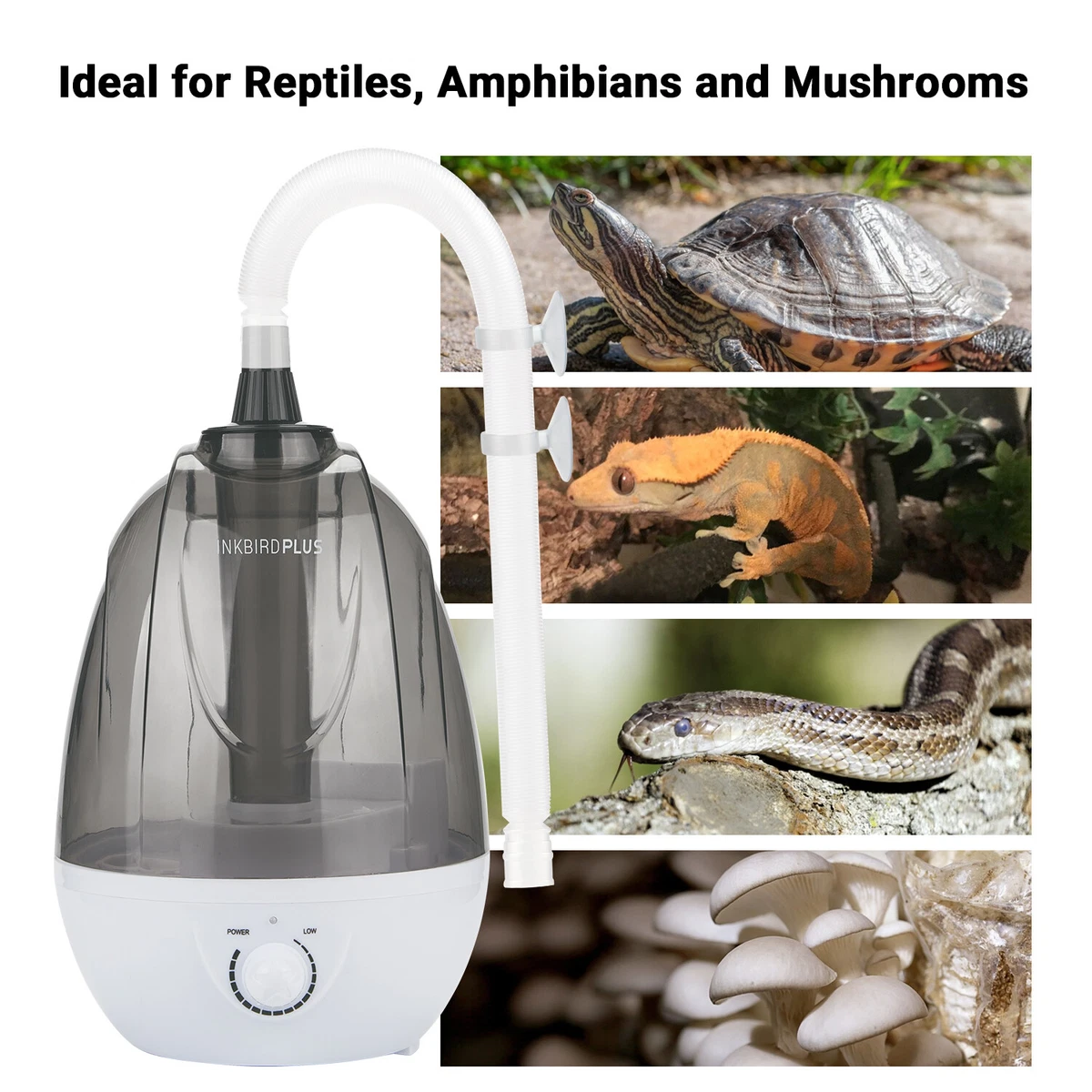 4L Reptilien Luftbefeuchter Fogger Tank Terrarium Vernebler f r