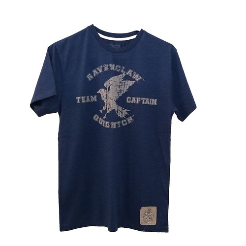 2000 Warner Bros Superman tee shirt, classic blue with graphic 