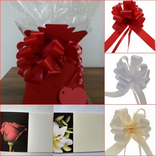 LIVING VASE BOUQUET FLOWER BOX CELLOPHANE WRAP BIRTHDAY WEDDING