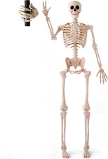 JOYIN 5FT Halloween Skeleton Decor with Movable Finger, Posable Life Size Skelet
