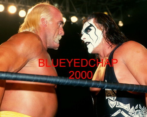 HULK HOGAN & STING WRESTLER 8 X 10 WRESTLING PHOTO WCW | eBay
