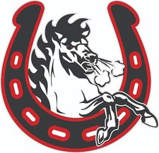 CFL Stampeders Atl With Bumpers Full Size Football Helmet Decals