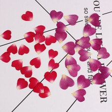 20PCS real Pressed Rose Petals Heart Shape Flower, 2 colors available FCD02