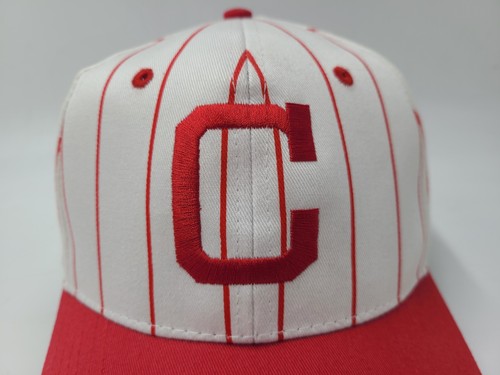 Pittsburgh Crawfords Pinstripe Highmark Adjustable Hat Cap Negro League Baseball - Picture 4 of 13