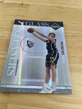 2010-11 Panini Limited - Glass Cleaners Troy Murphy #12 Spotlight Silver /49