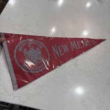 University of New Mexico Pennant Modern Vintage Looking Logo