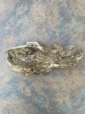 Natural Driftwood for Plants Terrarium Taxidermy Art Projects