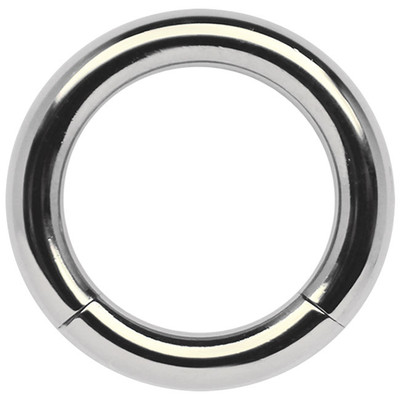 Titan Piercing Schmuck Intim Ohr Septum Segmentring 6,0mm Smooth Segment Ring