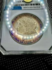 1881 O MORGAN SILVER DOLLAR PURPLE🌈RAINBOW TONING BETTER DATE /MS/PL CERTIFIED
