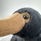 Bild 7 von 9