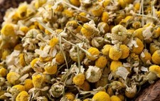 Wild Crafted Chamomile Flowers Dried 2 oz. Freshly Packed USA