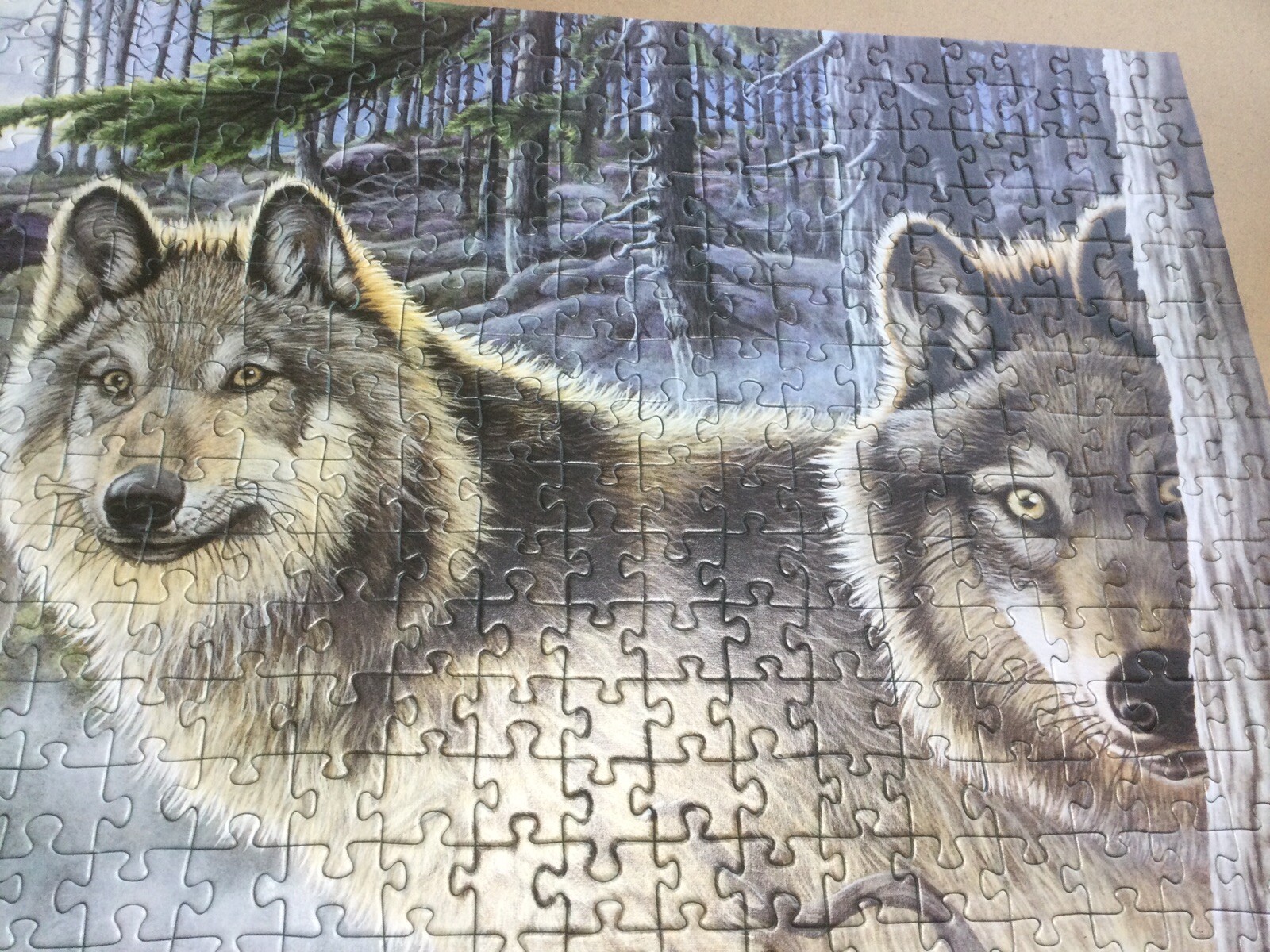Picture 6 of 11