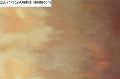 SKY Ombre Print cotton quilt fabric Kaufman 22617-352 Mushroom Shades of Browns