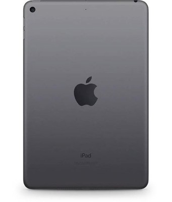 Apple iPad Mini 5th Gen -A2133- 256GB (Wifi Only) - Space Gray | eBay