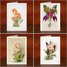 Orchid Art Print Greeting Cards - 8 Artwork Choices