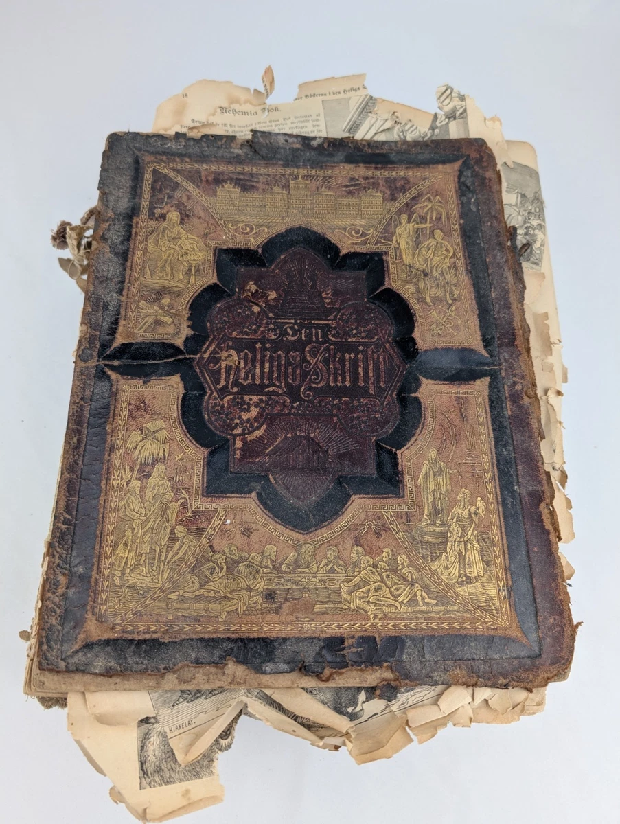 Bible Books 1850-1899 for sale | eBay
